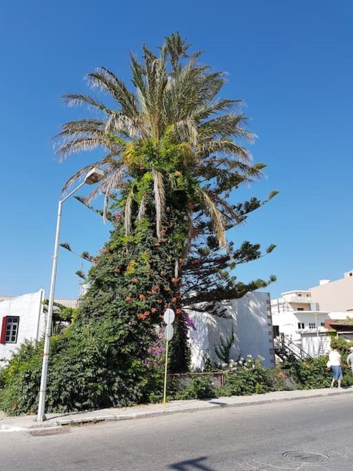 Heart Of Kissamos Apartment Exterior foto